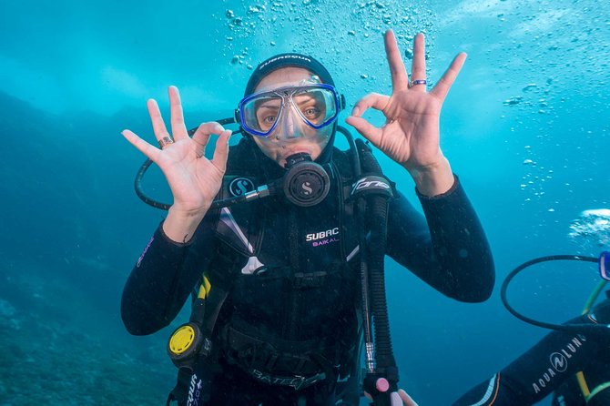 Discover Scuba Diving program: shore + boat dives - The Breakwater Underwater Walk: Marine Life Right Off the Coast