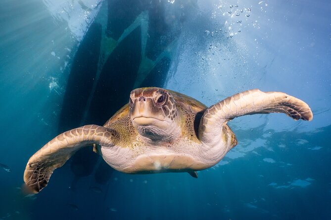 Discover Scuba Diving program: shore + boat dives - Small Group Size: Max 6 and Why That Feels Better