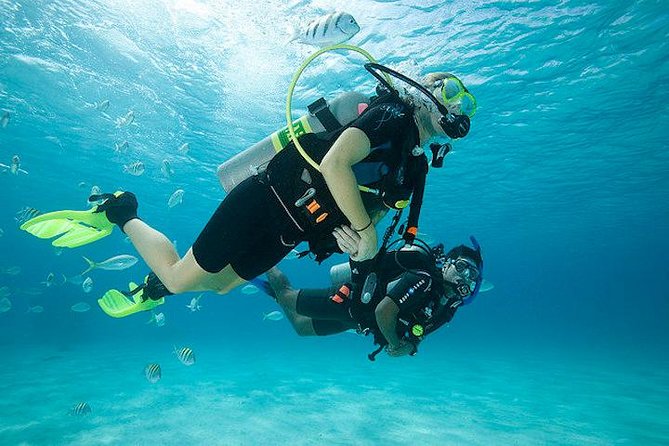 Discover Scuba Diving with two dives in the Ocean in Tenerife with Transfers - Key Things I’d Pay Attention To