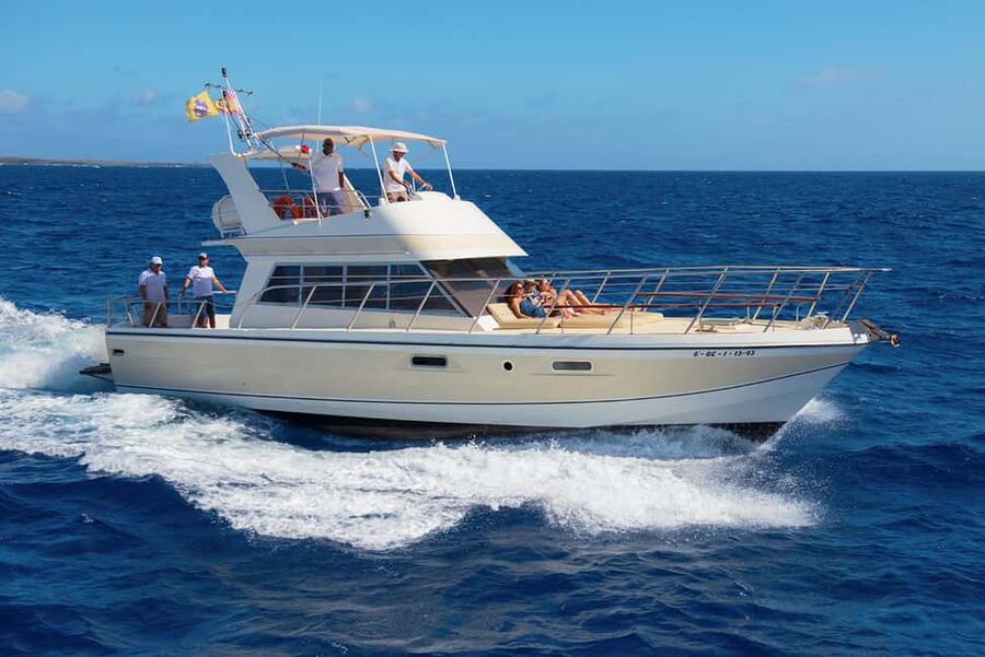 Discover whales in Tenerife: exclusive yacht tour with swim and lunch - Key things that make this yacht tour work
