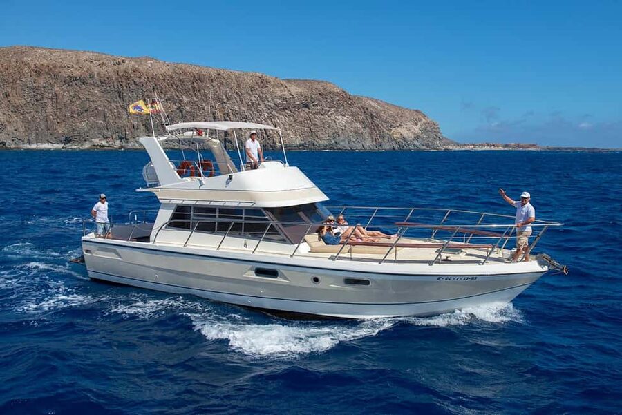Discover whales in Tenerife: exclusive yacht tour with swim and lunch - A 20-passenger yacht makes Tenerife whale watching feel human