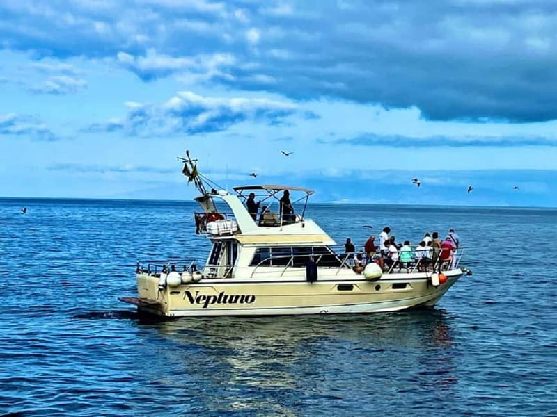 Discover whales in Tenerife: exclusive yacht tour with swim and lunch - Blue Flag whale watching: what responsible observation looks like on the water