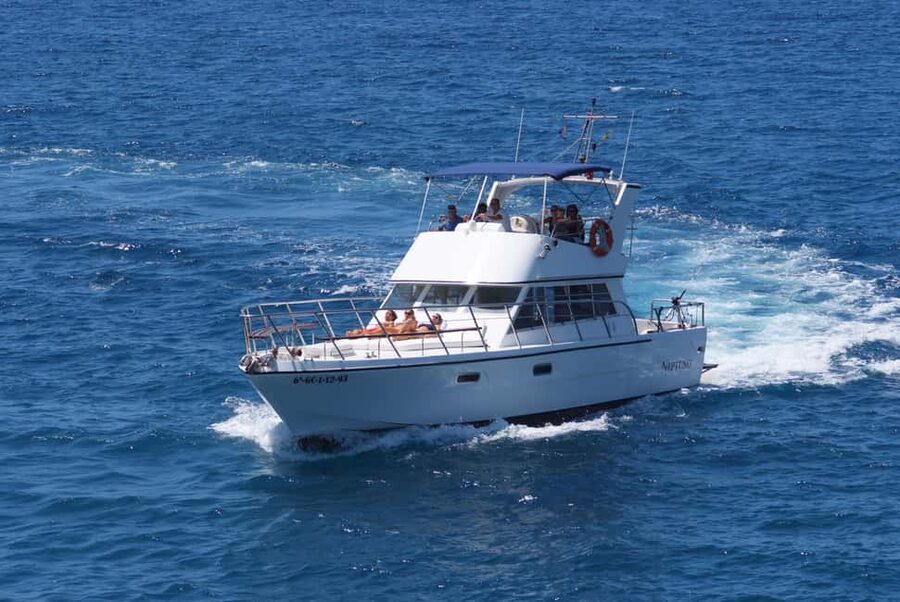 Discover whales in Tenerife: exclusive yacht tour with swim and lunch - Lunch on board: what you get, and the one downside to plan around