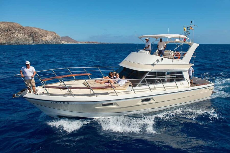 Discover whales in Tenerife: exclusive yacht tour with swim and lunch - Getting to the pier: pickup options and where to find the Neptuno