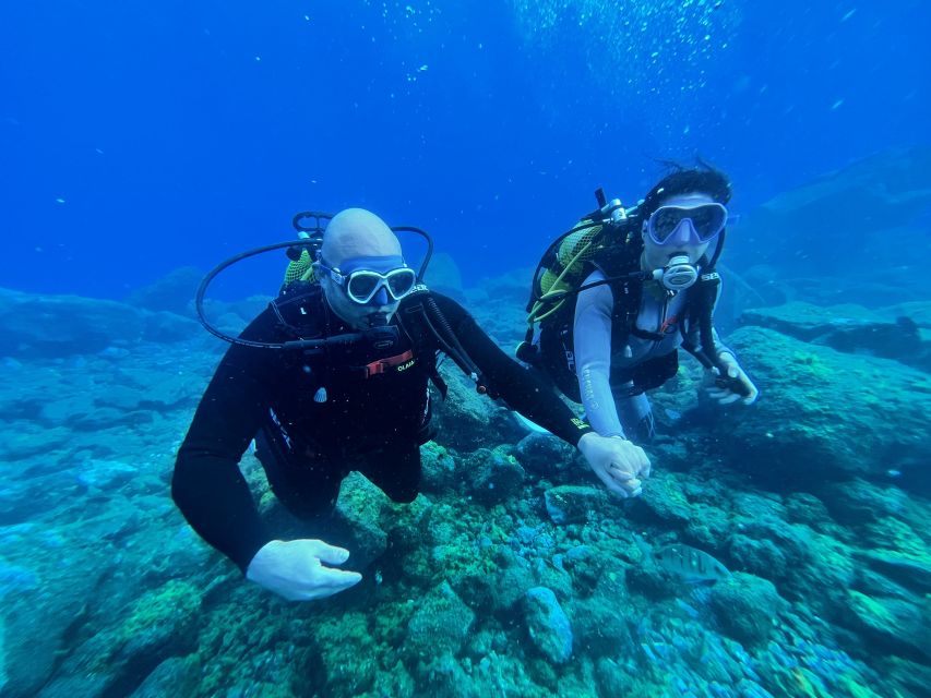 Diving course for beginners in turtle area Tenerife - Key points at a glance