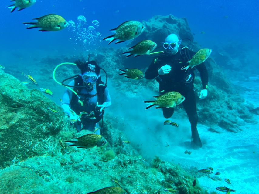 Diving course for beginners in turtle area Tenerife - Why Abades is a smart first underwater experience in Tenerife