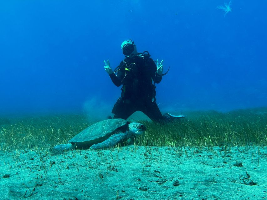 Diving course for beginners in turtle area Tenerife - The instructor approach: calm coaching for first-timers