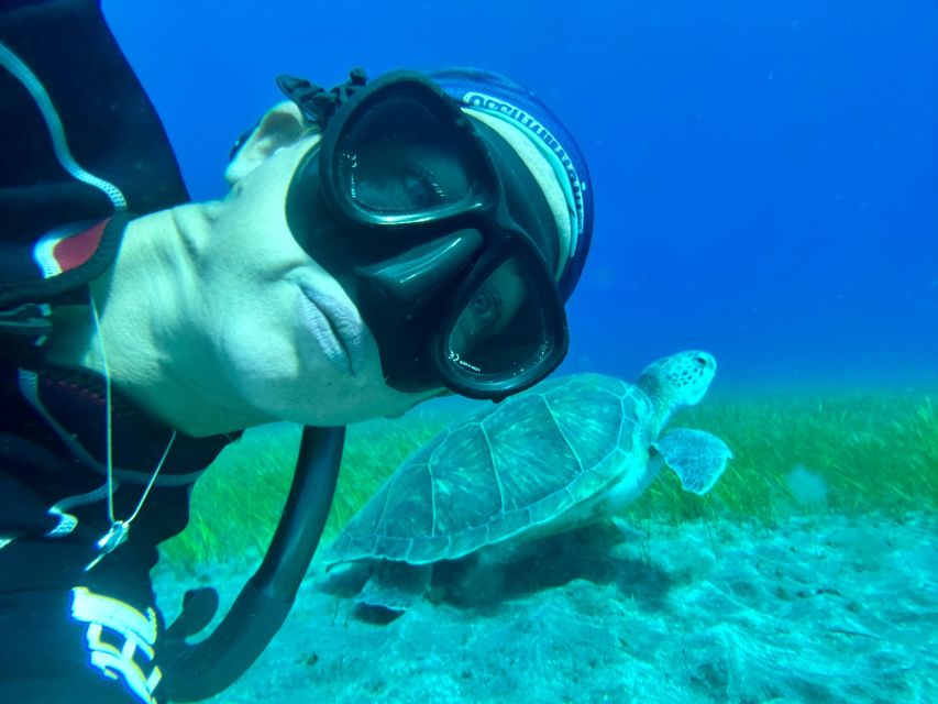 Diving course for beginners in turtle area Tenerife - Who this is for (and who should skip it)