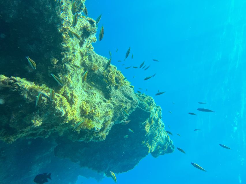 Diving course for beginners in turtle area Tenerife - Practical tips: what to bring and what to avoid after