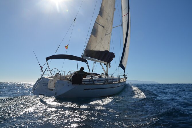 Dolphin and Whale Sailing Tour in Los Gigantes - Quick hits before you go