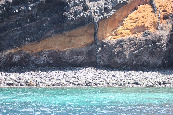 Dolphin and Whale Sailing Tour in Los Gigantes - A real small-group sail on Yate El Mojo Picon