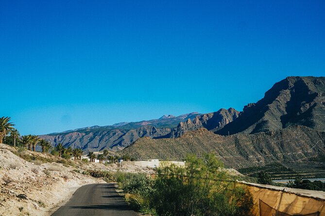 Double Tuk Tuk Tour in Costa Adeje - The viewpoint feel near Aqualand: short stop, big sightlines