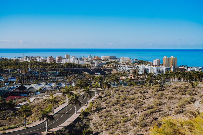 Double Tuk Tuk Tour in Costa Adeje - The Duke area: luxury history you can actually picture