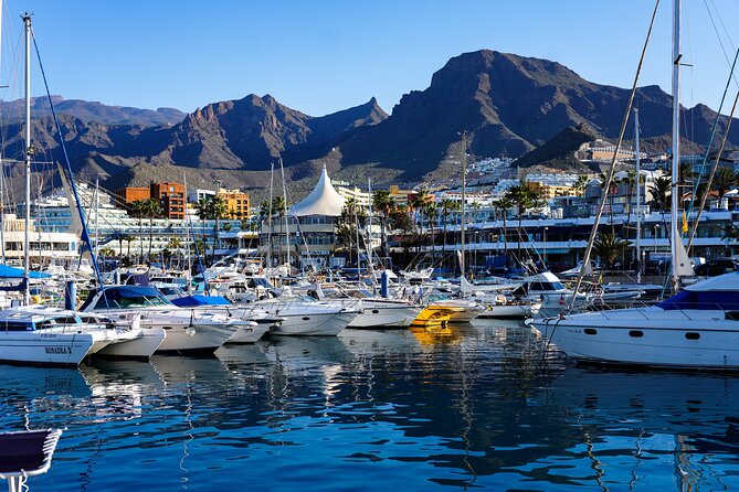 Double Tuk Tuk Tour in Costa Adeje - Price vs value: is $45.97 a smart use of your time?