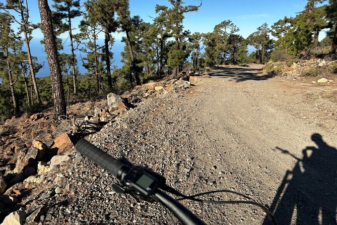 E-bike Ride at Chinyero Natural Reserve - on premium bikes - E-bike Reality Check: You Still Ride, You Just Ride Smart