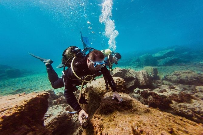 Eco Adapted Diving in Tenerife - Key highlights you’ll care about