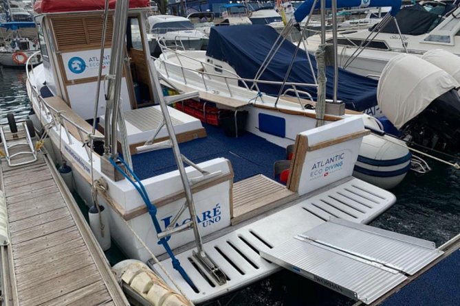 Eco Adapted Diving in Tenerife - Tenerife’s south-west: why the conditions help a first scuba session