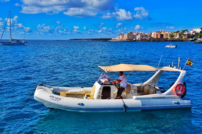 Eco Tour in the South of Tenerife with Snorkeling and Bathing Included - Key highlights at a glance