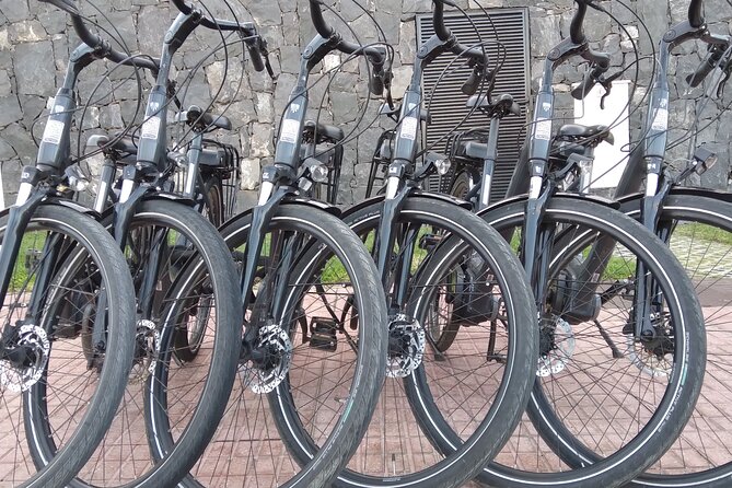 Electric City Bike Rental Tenerife - Fast help when you hit a mechanical snag