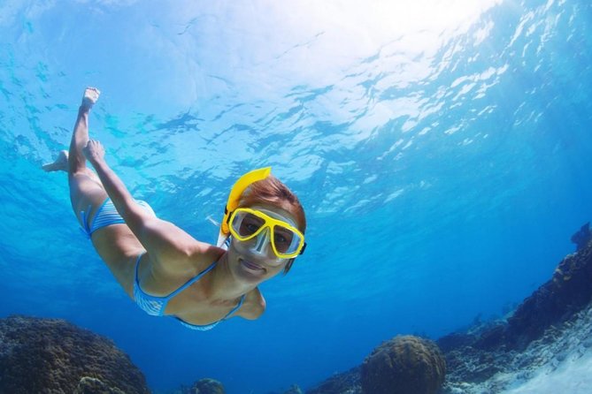 Exclusive Snorkeling Trip Guided by Marine Biology Specialist - Meet in Golf del Sur: The 2:00 pm Start That Fits a Day Plan
