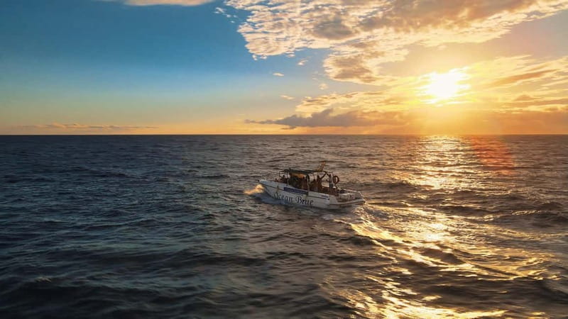 Excursion to see the whales - 3 Hours - From Lina Yacht to Puerto Colón: How the 3-Hour Float Really Works