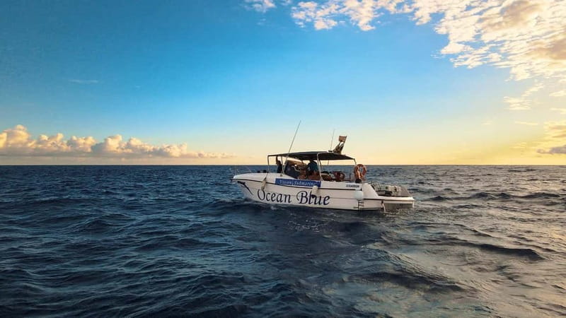 Excursion to see the whales - 3 Hours - Underwater Vision and Glass-Bottom Viewing: Seeing What You’d Miss