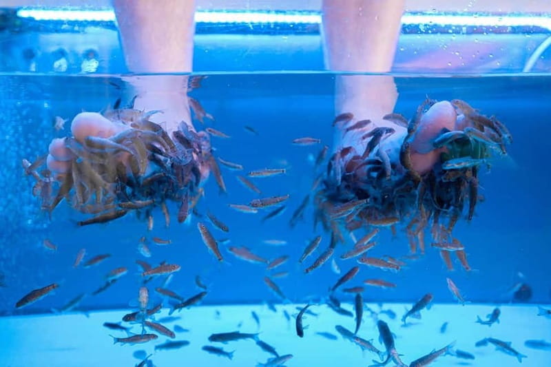 Fish Spa Experience Playa Fañabe - The 20-Minute Session: What You’ll Actually Feel and Do