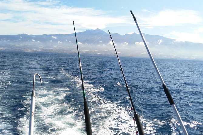 Fishing trip, Tenerife Sea Passion - Price and value: is $96.54 per person worth it?
