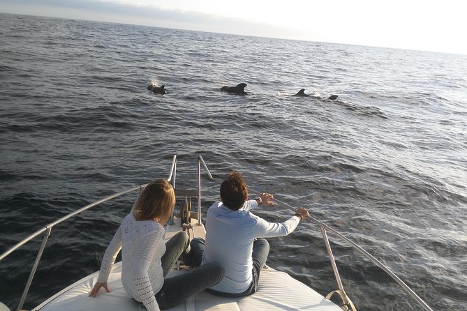 Fishing trip, Tenerife Sea Passion - The boat experience: small group energy and included drinks