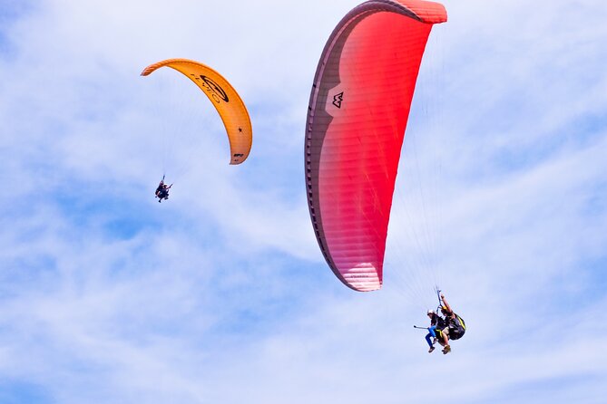 FlyTenerife Paragliding Flight - Key Highlights to Know Before You Go