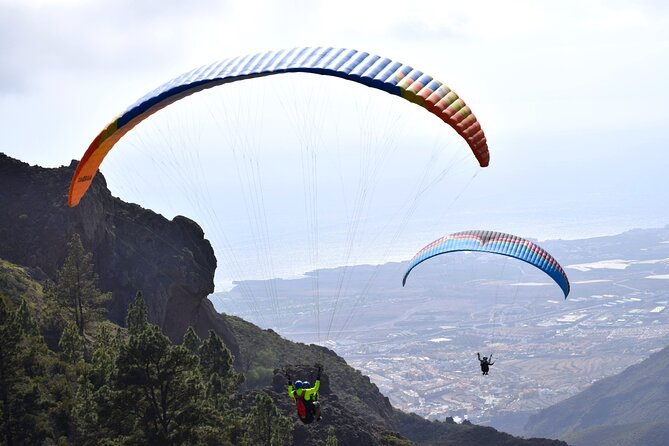 FlyTenerife Paragliding Flight - Logistics That Matter: Time in Your Day and Group Size
