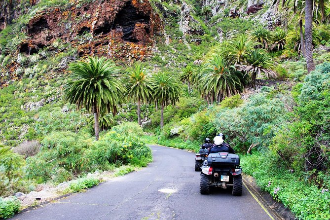 Forest Quad Trip with Hotel Pickup - Lunch, Snacks, and Drinks: Staying Energized Without Guessing