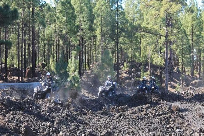 Forest Quad Trip with Hotel Pickup - Duration Reality Check: About 3 Hours, Sometimes Longer