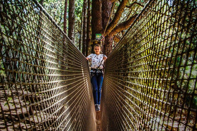 Forestal Park Tenerife Entrance Ticket - The course itself: walls, rope ladders, and high ropes
