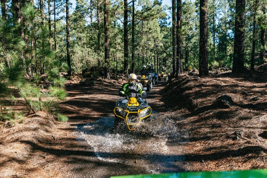 From Costa Adeje: Mount Teide Forest Off-Road Quad Bike Tour - Why the Teide Forest Quad Ride feels like a break from the coast