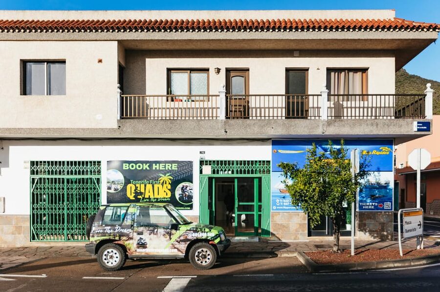 From Costa Adeje: Mount Teide Forest Off-Road Quad Bike Tour - What you’ll see: native plants, wildlife chances, and volcanic clues