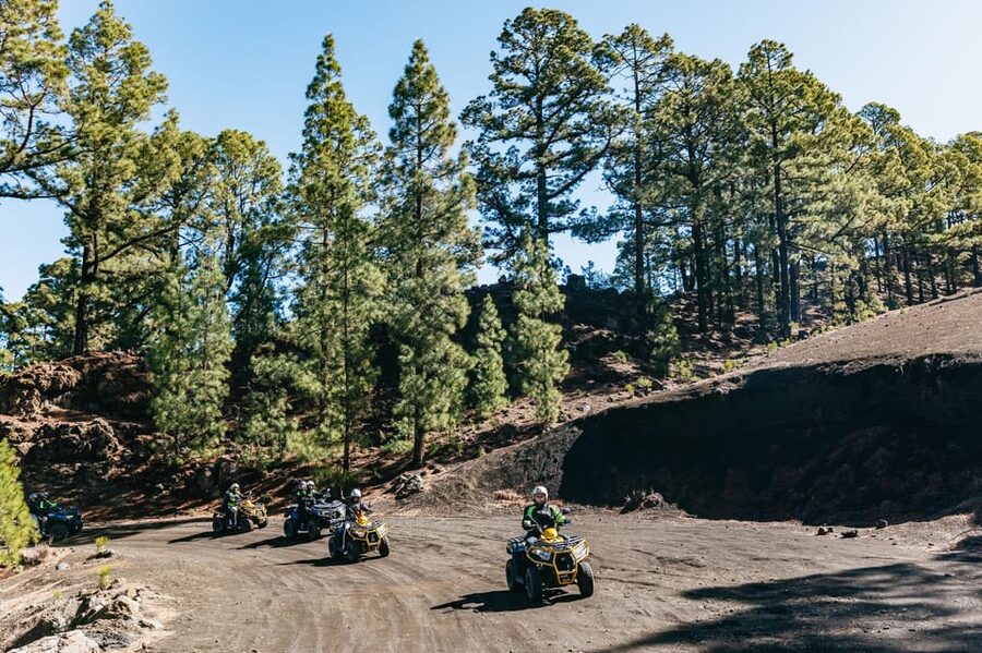 From Costa Adeje: Mount Teide Forest Off-Road Quad Bike Tour - Snacks, water, and the value behind what’s included