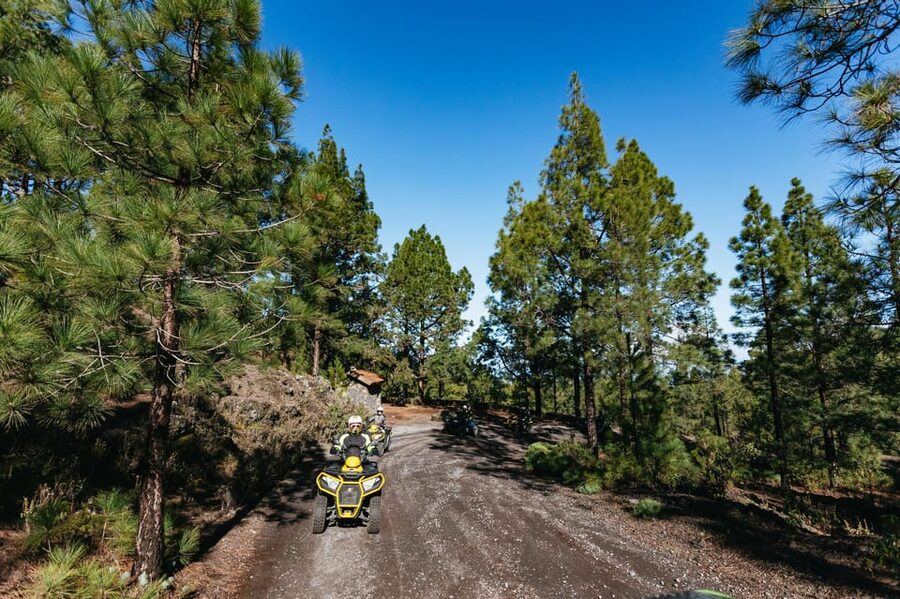 From Costa Adeje: Mount Teide Forest Off-Road Quad Bike Tour - What to wear and pack: dust, cold pine, and closed-toe shoes