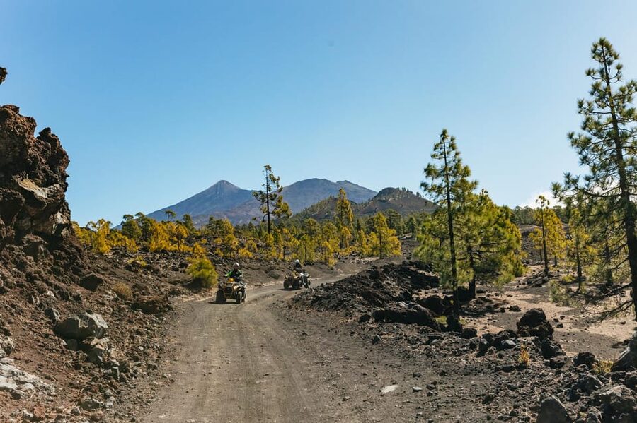 From Costa Adeje: Mount Teide Forest Off-Road Quad Bike Tour - Pickup and training: the first 30 minutes set the tone