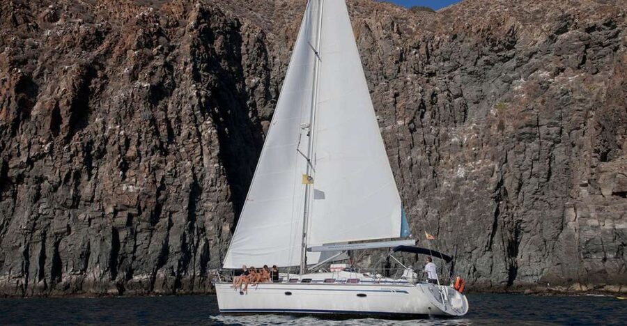 From Los Gigantes: Whale Watching Sailboat Cruise - Why a small-group sailboat makes whale watching actually work