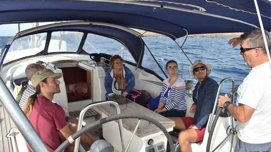From Los Gigantes: Whale Watching Sailboat Cruise - Should you book the Los Gigantes whale watching sail?