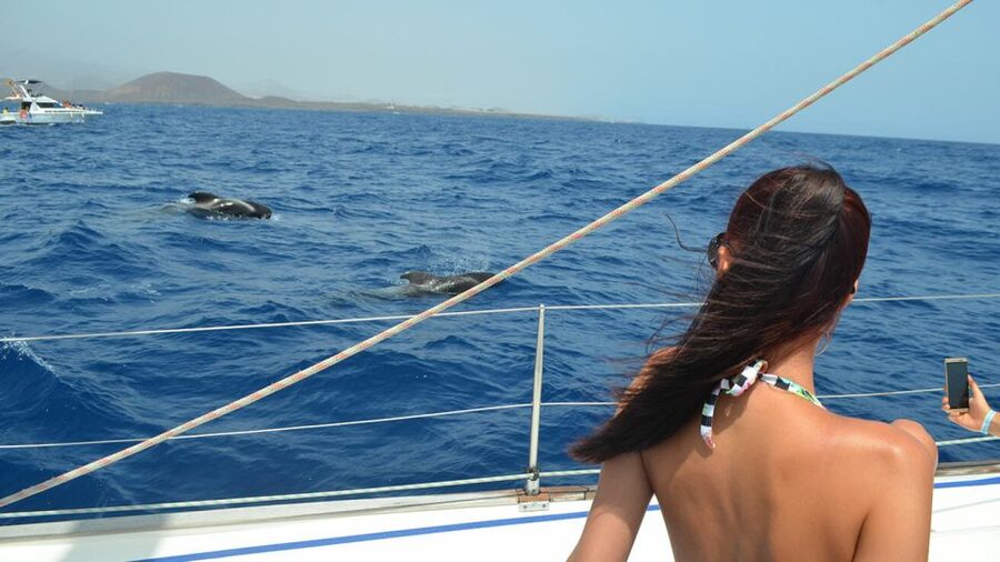 From Los Gigantes: Whale Watching Sailboat Cruise - The sail: seeing the cliffs and Teide from the water