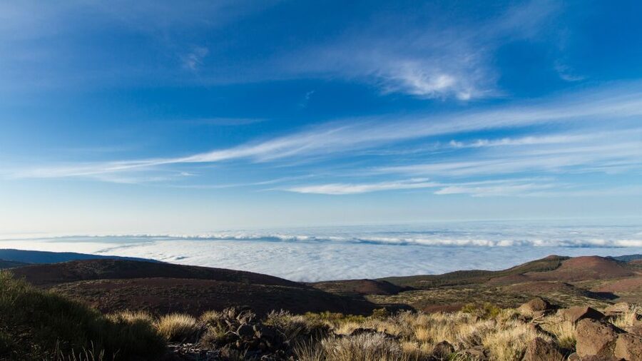 From Playa de las Américas: Full-Day Teide Jeep Safari - El Teide National Park: what you actually see besides the postcard peak