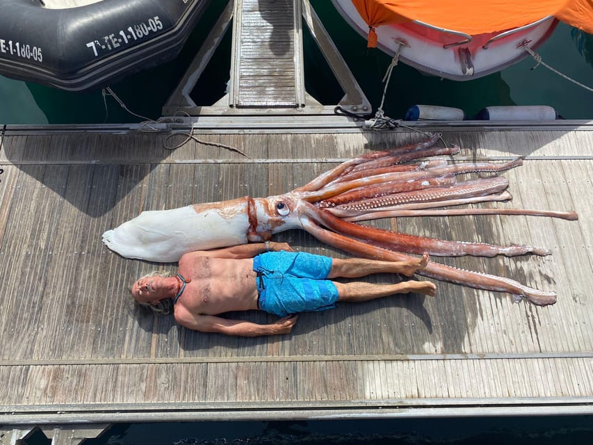 From Playa San Juan: Whale Watching, Gigantes, and Masca Bay - How the 4 Hours Flow (and What It Feels Like)
