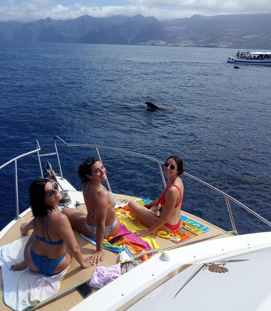 From Playa San Juan: Whale Watching, Gigantes, and Masca Bay - What to Bring (and What’s Not Allowed)