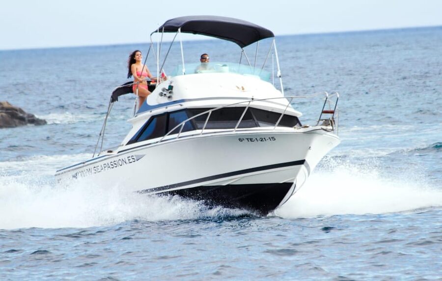 From Playa San Juan: Whale Watching, Gigantes, and Masca Bay - Masca Cove Swim and Snorkel With Lunch on Board