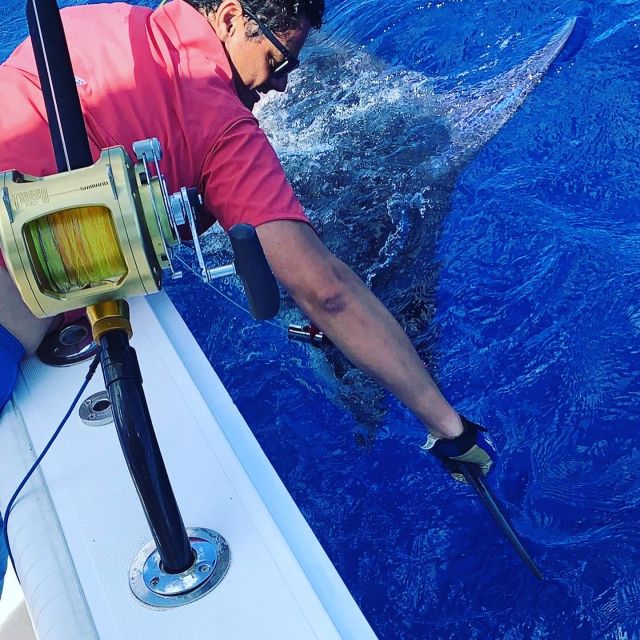 From Puerto Colón: Private Fishing Boat Charter with Lunch - 3 hours on the water: light tackle inshore trolling and bottom fishing