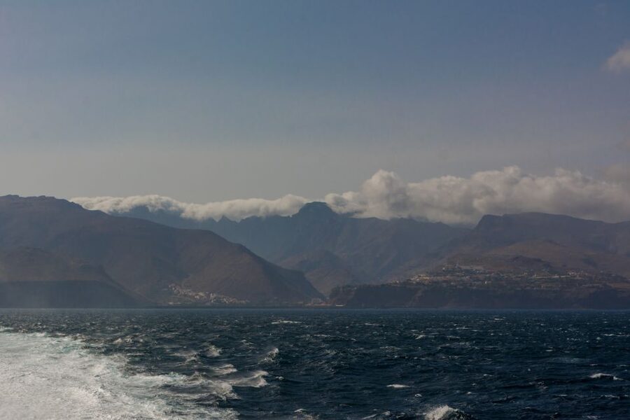 From Puerto de La Cruz: Full-Day Vip Tour to Gomera - The Ferry Transfer (and the Food Included)