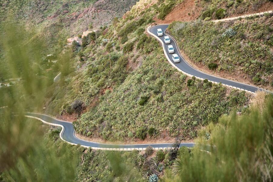 From Puerto de La Cruz: Full-Day Vip Tour to Gomera - Price and Value: Is $205 Worth It?