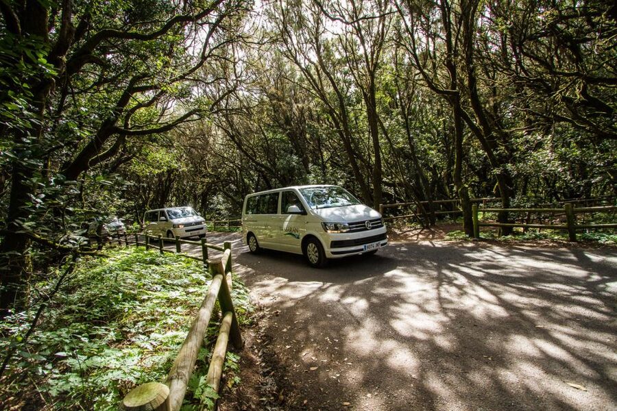 From Puerto de La Cruz: Full-Day Vip Tour to Gomera - Should You Book This Tour?